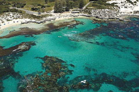 Rottnest Island Bayseeker Day Trip From Fremantle - C Tourism 4