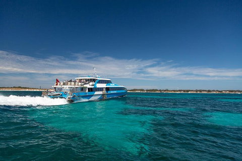 Rottnest Island Oliver Hill Train And Tunnel Day Trip From Fremantle - C Tourism 1