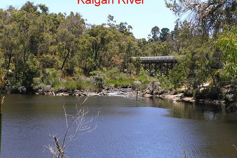Kalgan Queen Scenic Cruises A Four Hour Sheltered Water Wildlife Tour Daily Fun. - C Tourism 3