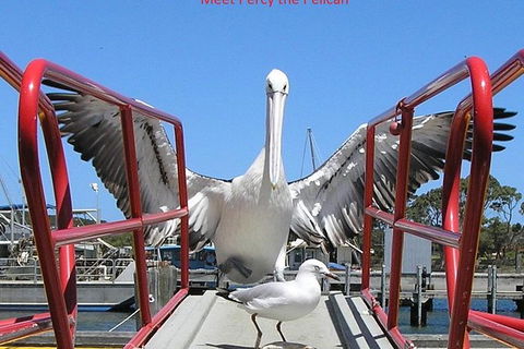 Kalgan Queen Scenic Cruises A Four Hour Sheltered Water Wildlife Tour Daily Fun. - C Tourism 4