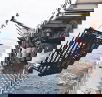 Rottnest Island Wild Seafood Package from Perth with Transfer - C Tourism