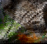 Porongurup Nature  History Eco Tour - C Tourism