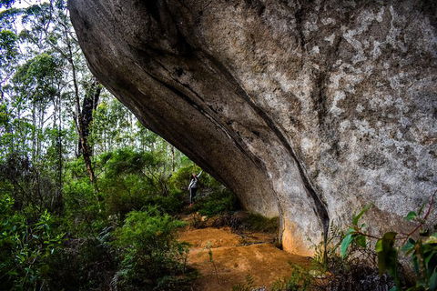 Porongurup Nature & History Eco Tour - C Tourism 0