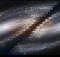 Dusk to Dawn Astronomy Experience at Bullara Station Stay - C Tourism