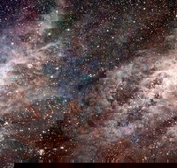 Overnight Astronomy Experience Ningaloo - Yardie Homestead - C Tourism
