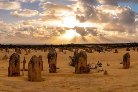 Half Day Pinnacles Sunset Tour - C Tourism 1
