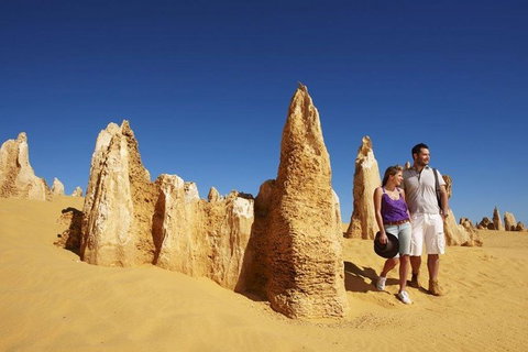 Half Day Pinnacles Sunset Tour - C Tourism 7