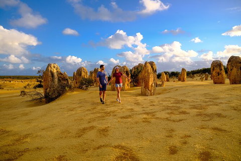 Half Day Pinnacles Sunset Tour - C Tourism 3