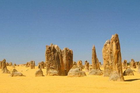 Half Day Pinnacles Sunset Tour - C Tourism 6