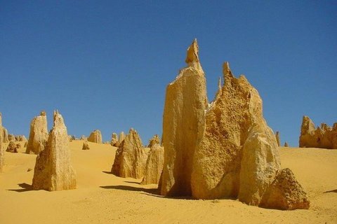 Half Day Pinnacles Sunset Tour - C Tourism 5