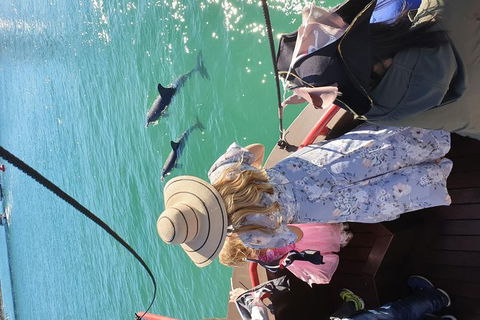Pirate Ship Lunch Cruise (1.5hr) - C Tourism 7