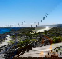 Torndirrup National Park and Bay Highlights - C Tourism