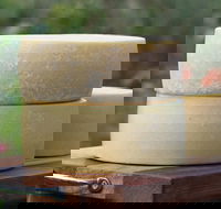 Porongurup Meet Your Maker Eco Tour - C Tourism