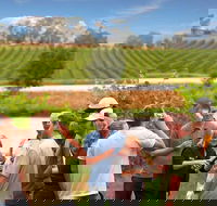 Yarra Valley Wine and Winery Tour from Melbourne - C Tourism