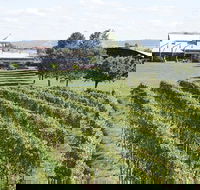 Puffing Billy Train and Yarra Valley Food and Wine Day Trip from Melbourne - C Tourism