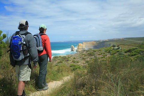 Great Walks Of Australia:4-Day Twelve Apostles Signature Walk OR 3 Day Long Wknd - C Tourism 0