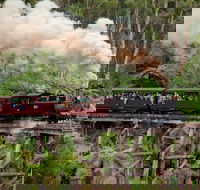 Melbourne Combo Great Ocean Road Puffing Billy Moonlit Sanctuary  Penguins - C Tourism
