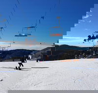 Mt. Buller Ski Tour from Melbourne - C Tourism