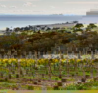 Bellarine Peninsula Small Group Wine Tour with 2 Course Lunch and Morning Tea - C Tourism