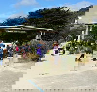 Full-Day Great Ocean Road Tour from Melbourne - C Tourism