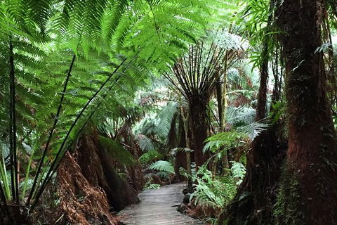 2-Day Great Ocean Road And Warrnambool Tour - C Tourism 1