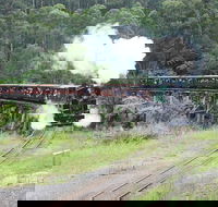 Puffing Billy Dandenong Ranges  Brighton Bathing Boxes  Experience - C Tourism