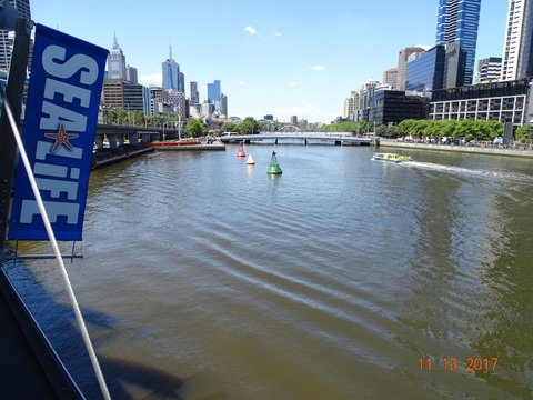 SEA LIFE Melbourne Aquarium Admission Ticket - C Tourism 7