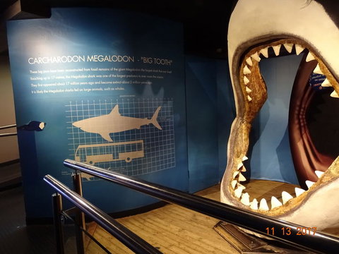 SEA LIFE Melbourne Aquarium Admission Ticket - C Tourism 10