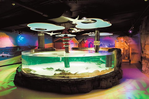 SEA LIFE Melbourne Aquarium Admission Ticket - C Tourism 27