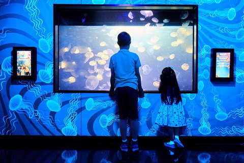 SEA LIFE Melbourne Aquarium Admission Ticket - C Tourism 18