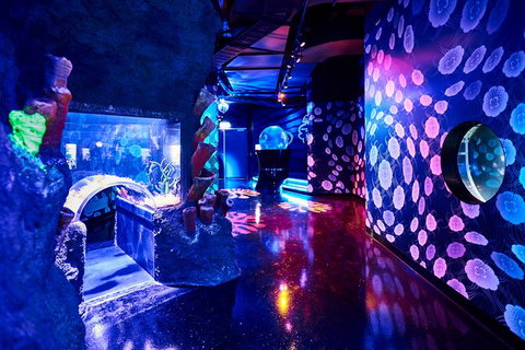 SEA LIFE Melbourne Aquarium Admission Ticket - C Tourism 13