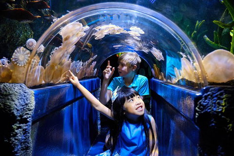 SEA LIFE Melbourne Aquarium Admission Ticket - C Tourism 12