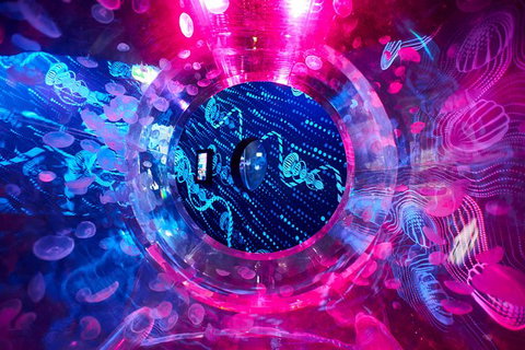 SEA LIFE Melbourne Aquarium Admission Ticket - C Tourism 26