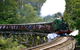 Private Dandenong Ranges Tour Including Puffing Billy - thumb 2