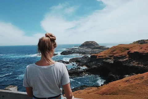 Small Group - Phillip Island Hike & Penguin Parade Day Tour From Melbourne - C Tourism 3