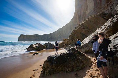 2-Day Melbourne To Adelaide Tour: Great Ocean Road And Grampians One Way Trip - C Tourism 13