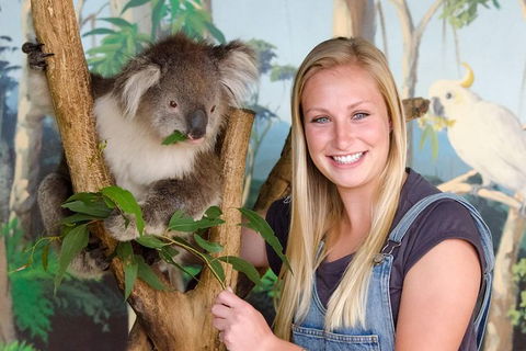 2-Day Great Ocean Road And Phillip Island Tour With Penguin Parade - C Tourism 1
