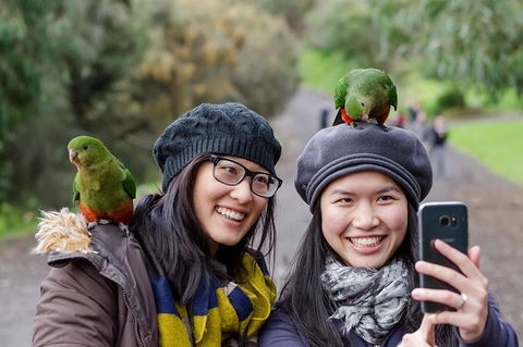 2-Day Great Ocean Road And Phillip Island Tour With Penguin Parade - C Tourism 4