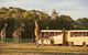 Sunset Safari At Werribee Open Range Zoo - thumb 0