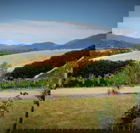Romantic Private Yarra Valley Day Trip for Two from Melbourne - C Tourism
