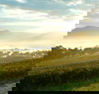 Yarra Valley Private Tour including Healesville Sanctuary and Wineries - C Tourism