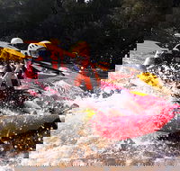 Whitewater Sports rafting on the Yarra river - C Tourism