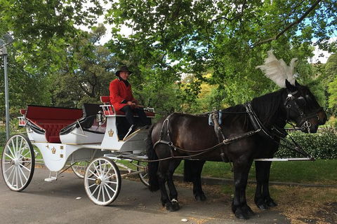 Melbourne Horse Drawn Carriage Garden Highlights Tourâ„¢ - C Tourism 0