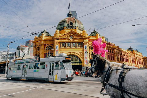 A Full Day In Melbourne With A Local: Private & Personalized - C Tourism 9