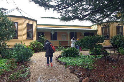Day Tour Of Phillip Island Nature Parks & Penguins - C Tourism 7