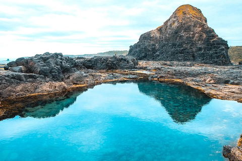 Small Group: Mornington Peninsula Hike And Hot Springs Day Tour From Melbourne - C Tourism 9
