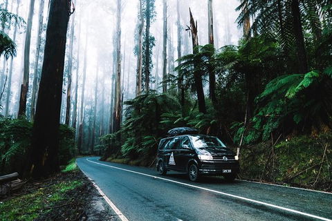 Small Group: Mornington Peninsula Hike And Hot Springs Day Tour From Melbourne - C Tourism 8