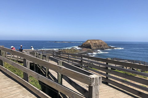 Day Tour Of Phillip Island, The Surrounding Region And Wine Tasting - C Tourism 14