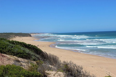 Day Tour Of Phillip Island, The Surrounding Region And Wine Tasting - C Tourism 5