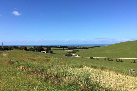 Day Tour Of Phillip Island, The Surrounding Region And Wine Tasting - C Tourism 6